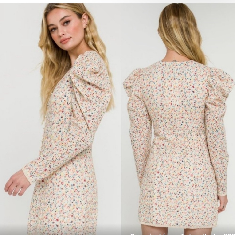 Free the Roses Floral eyelet dress
